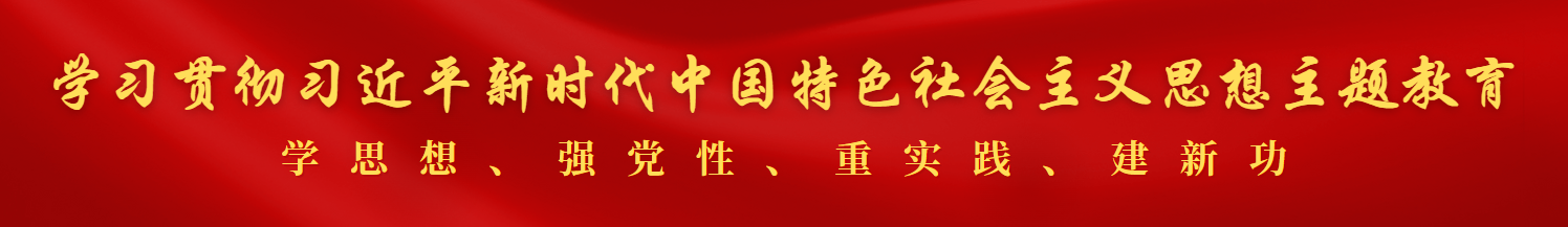 学习贯彻*新时代中国特色社会主义思想主题教育